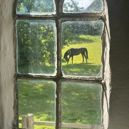 Gartenhaus Marienthal * Goosefeld