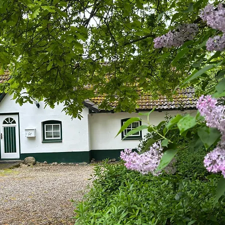Lägenhet Gartenhaus Marienthal